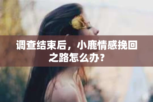 调查结束后，小鹿情感挽回之路怎么办？