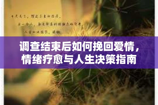 调查结束后如何挽回爱情，情绪疗愈与人生决策指南