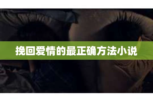 挽回爱情的最正确方法小说
