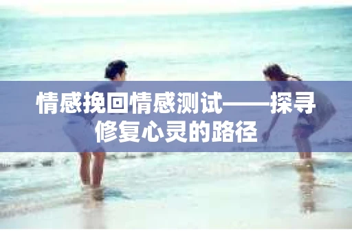 情感挽回情感测试——探寻修复心灵的路径