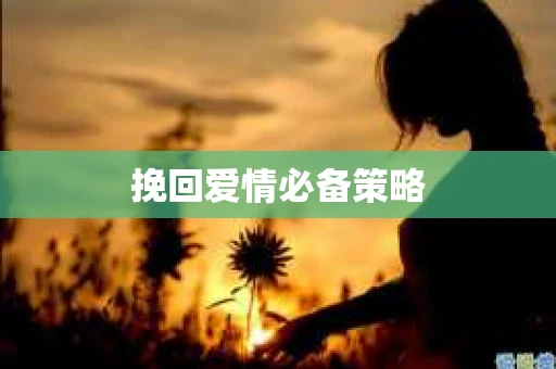 挽回爱情必备策略