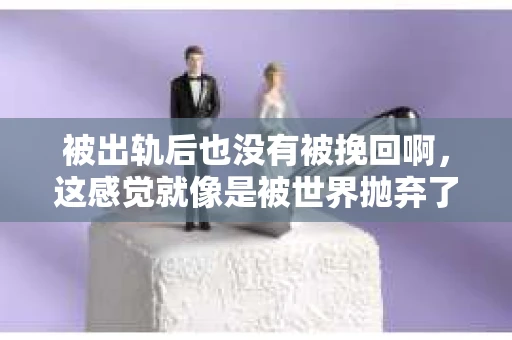 被出轨后也没有被挽回啊，这感觉就像是被世界抛弃了一样。我曾经也经历过这样的事情，那种心如刀割的痛，至今仍记忆犹新。今天，我想和大家聊聊这个话题，希望能给那些正在经历或者曾经经历过类似痛苦的人一些安慰和帮助。