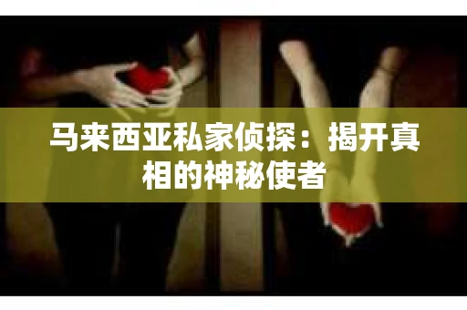 马来西亚私家侦探：揭开真相的神秘使者