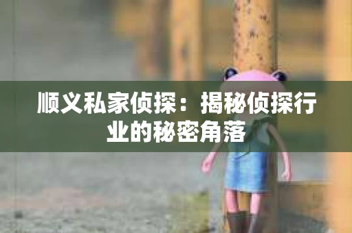 顺义私家侦探：揭秘侦探行业的秘密角落