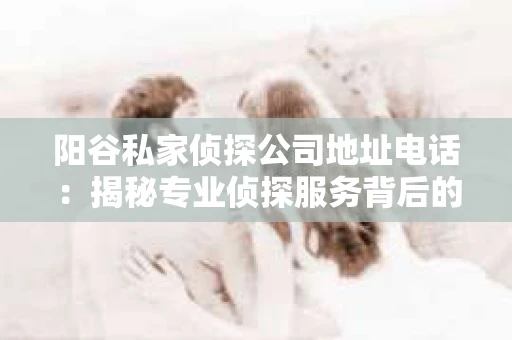 阳谷私家侦探公司地址电话：揭秘专业侦探服务背后的故事