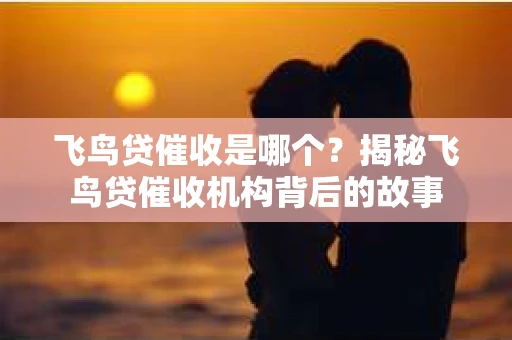 飞鸟贷催收是哪个？揭秘飞鸟贷催收机构背后的故事