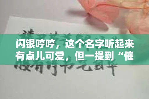 闪银哼哼，这个名字听起来有点儿可爱，但一提到“催收”，气氛就变得严肃起来。今天，我们就来聊聊这个话题，揭开“闪银哼哼催收”的神秘面纱。