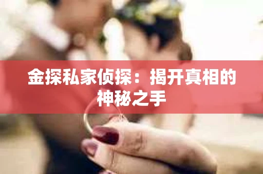 金探私家侦探：揭开真相的神秘之手