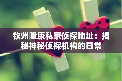 钦州隆康私家侦探地址：揭秘神秘侦探机构的日常