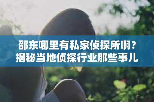 邵东哪里有私家侦探所啊？揭秘当地侦探行业那些事儿