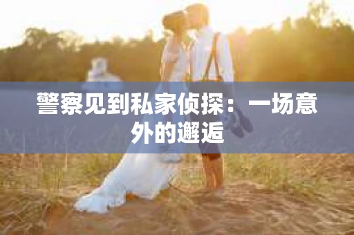警察见到私家侦探：一场意外的邂逅