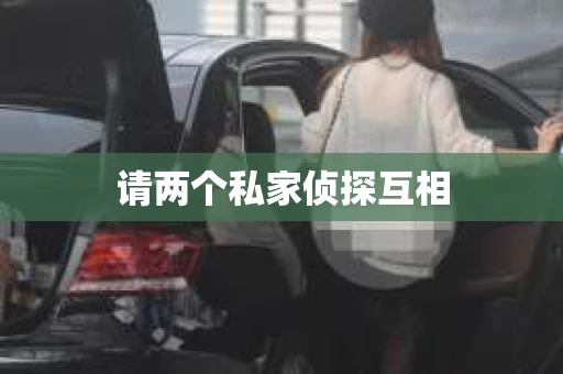 请两个私家侦探互相