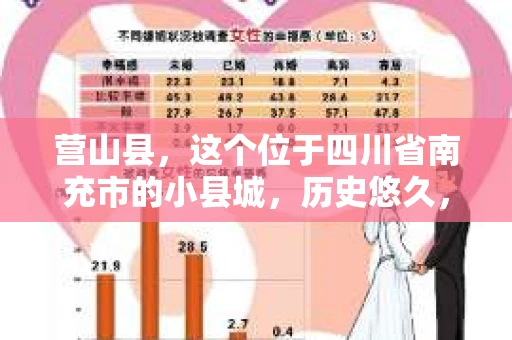 营山县，这个位于四川省南充市的小县城，历史悠久，风景秀丽。但在这个宁静的小县城里，你是否会好奇，有没有私家侦探的存在呢？今天，我就来和大家聊聊这个话题。