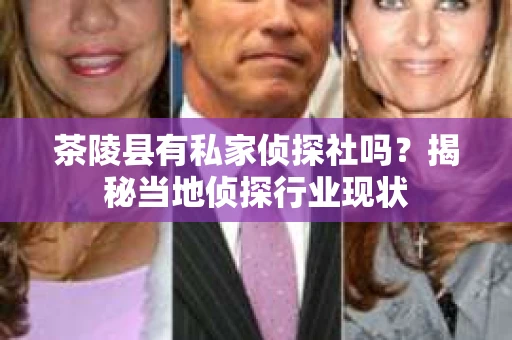 茶陵县有私家侦探社吗？揭秘当地侦探行业现状