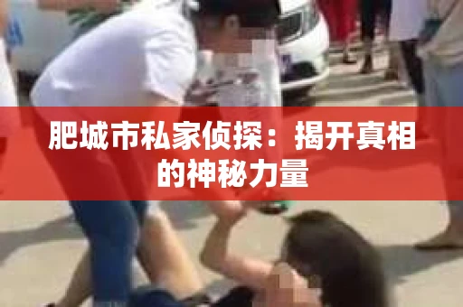 肥城市私家侦探：揭开真相的神秘力量