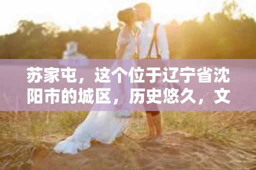 苏家屯，这个位于辽宁省沈阳市的城区，历史悠久，文化底蕴深厚。近年来，随着社会的发展，人们对于私家侦探的需求也逐渐增加。那么，苏家屯有私家侦探吗？今天，我们就来聊聊这个话题。
