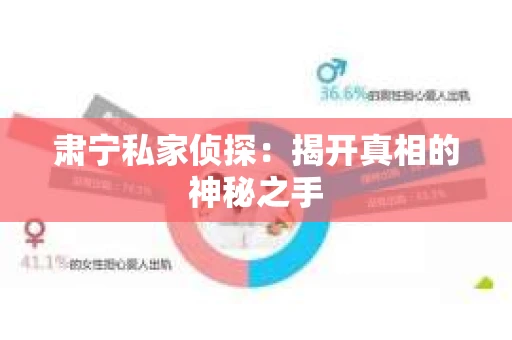 肃宁私家侦探：揭开真相的神秘之手