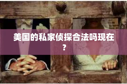 美国的私家侦探合法吗现在？