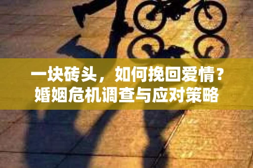 一块砖头，如何挽回爱情？婚姻危机调查与应对策略