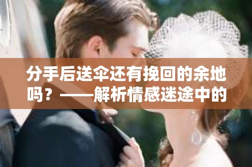 分手后送伞还有挽回的余地吗？——解析情感迷途中的决策