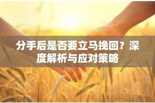 分手后是否要立马挽回？深度解析与应对策略