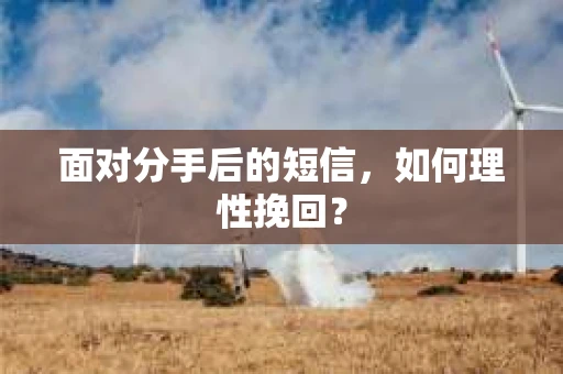 面对分手后的短信,如何理性挽回? 面对分手后的短信,如何理性挽回?