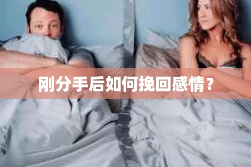 刚分手后如何挽回感情？